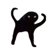 🐈‍⬛