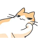 🐈