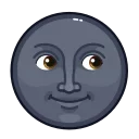 🌚