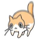 🐈