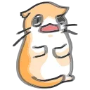 🐈