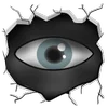👁