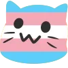 🐱