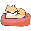 🐈