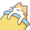 🐈