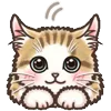 🐈