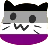 🐱