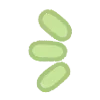 💚