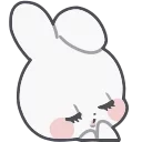 🐰