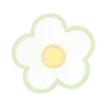 🌼