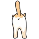 🐈