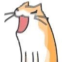 🐈
