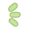 💚