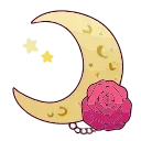 🌙
