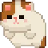 🐈
