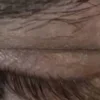 🤩