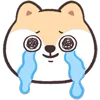 😭