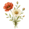🕊️