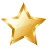 🌟