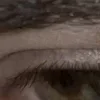 🤩