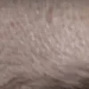 🤩
