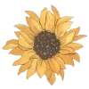 🌻