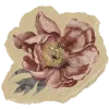 🌺