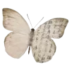 🦋