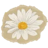 🌼