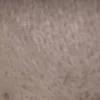 🤩