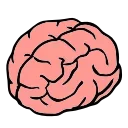 🧠