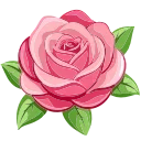 🌺