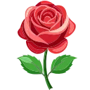 🌹