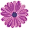 🌸