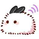 🐇