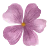 🌸