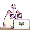 💻