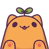 🐱