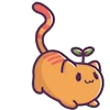 🐈