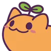 🐱
