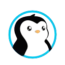 🪙