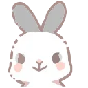 🐰