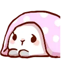 🐇
