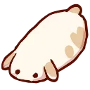 🐇