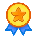 🎖️