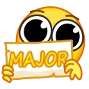 🌟