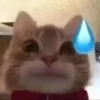 😅