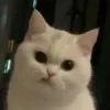 🫤
