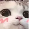 ☺️