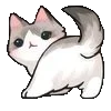 🐈